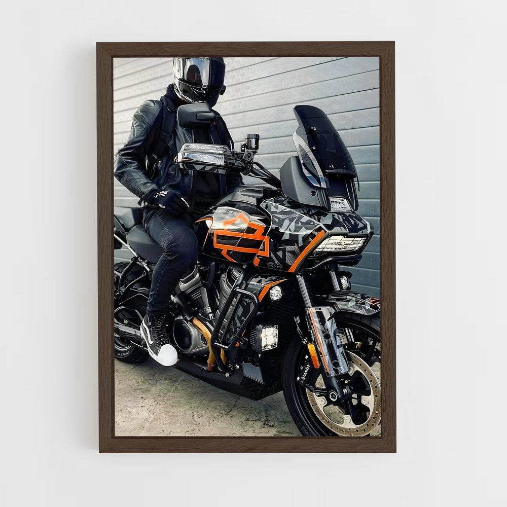 Poster Pan America splendide – affiche Harley-Davidson (vue 5)